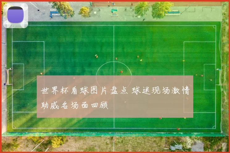 世界杯看球图片盘点 球迷现场激情助威名场面回顾